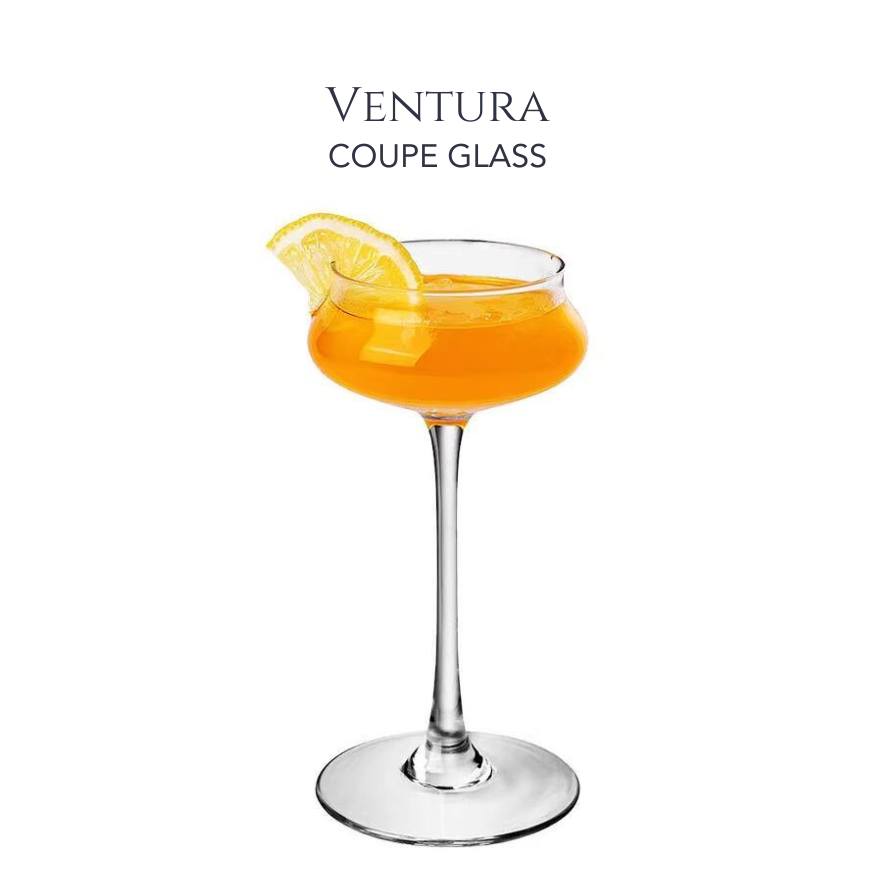 Ventura - Coupe Glass