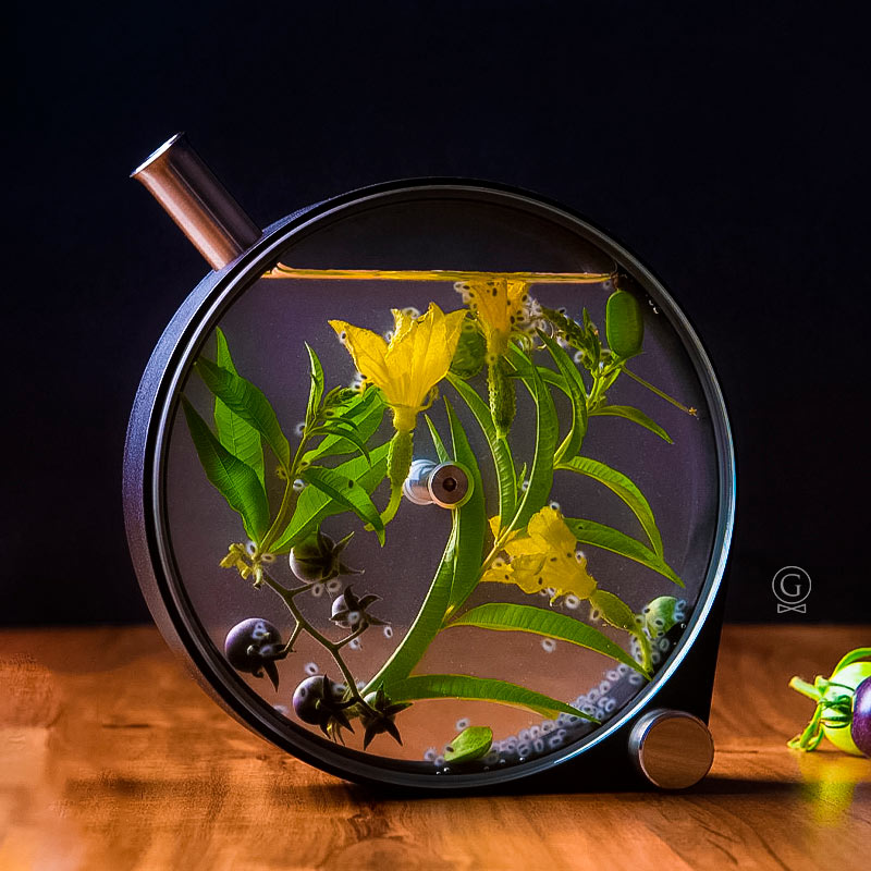 The Porthole Infuser